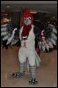 [SeanC MFF2012 198]