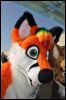 [SeanC MFF2012 218]