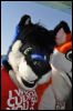 [SeanC MFF2012 219]