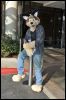 [SeanC MFF2012 237]