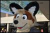 [SeanC MFF2012 238]