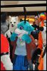 [SeanC MFF2012 241]