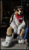 [SeanC MFF2012 244]