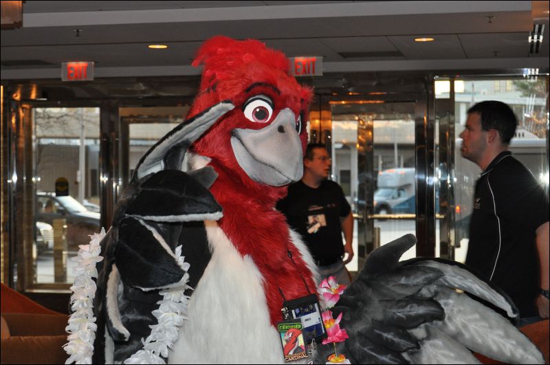 [SeanC_MFF2012_249.jpg]