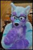 [SeanC MFF2012 263]