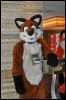 [SeanC MFF2012 264]