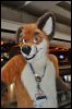 [SeanC MFF2012 276]