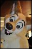 [SeanC MFF2012 278]