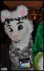 [SeanC MFF2012 307]