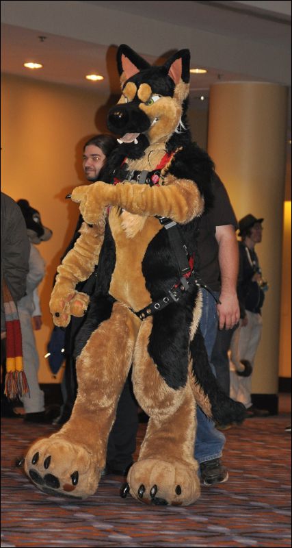 [SeanC_MFF2012_324.jpg]