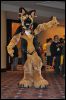 [SeanC MFF2012 325]