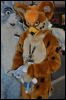 [SeanC MFF2012 330]