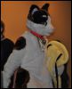 [SeanC MFF2012 331]