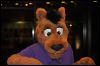 [SeanC MFF2012 352]