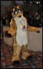 [SeanC MFF2012 368]