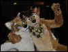 [SeanC MFF2012 371]