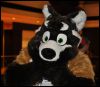 [SeanC MFF2012 375]