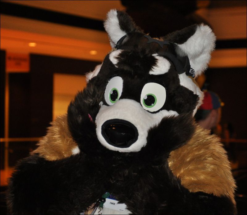 [SeanC_MFF2012_375.jpg]