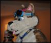 [SeanC MFF2012 379]