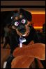 [SeanC MFF2012 386]