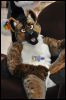 [SeanC MFF2012 389]