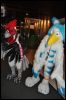 [SeanC MFF2012 426]