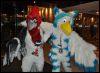 [SeanC MFF2012 442]