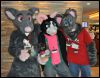 [SeanC MFF2012 443]