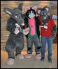 [SeanC MFF2012 445]