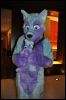 [SeanC MFF2012 458]