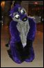 [SeanC MFF2012 464]