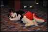 [SeanC MFF2012 465]