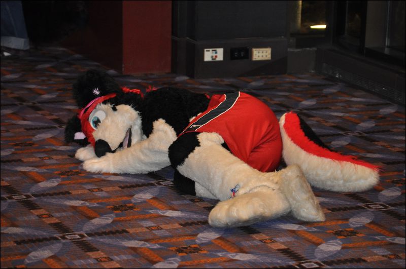 [SeanC_MFF2012_465.jpg]