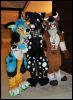 [SeanC MFF2012 511]