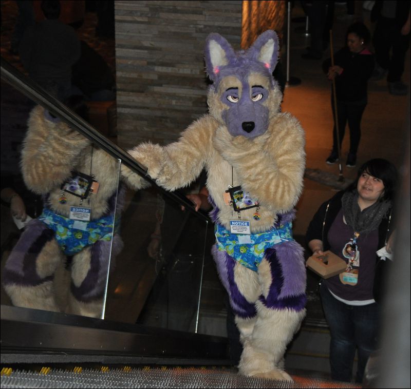 [SeanC_MFF2013_117.jpg]