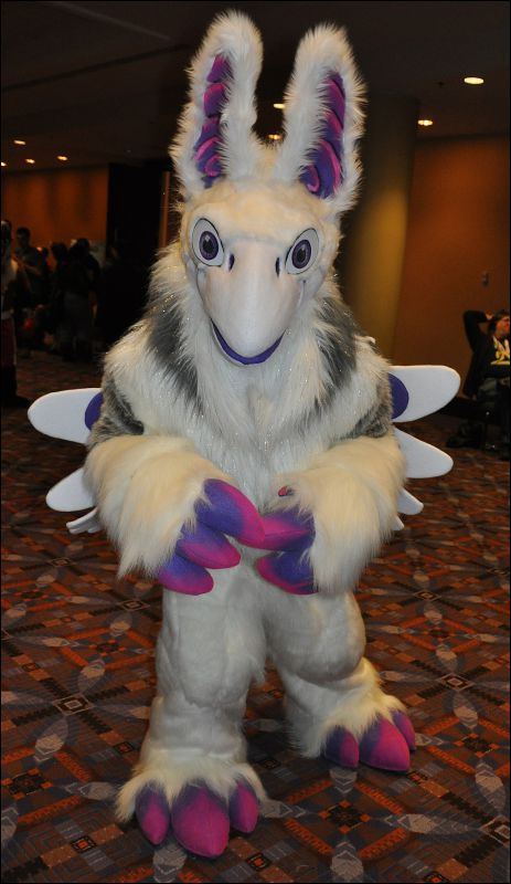 [SeanC_MFF2013_121.jpg]