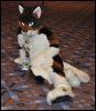 [SeanC MFF2013 142]