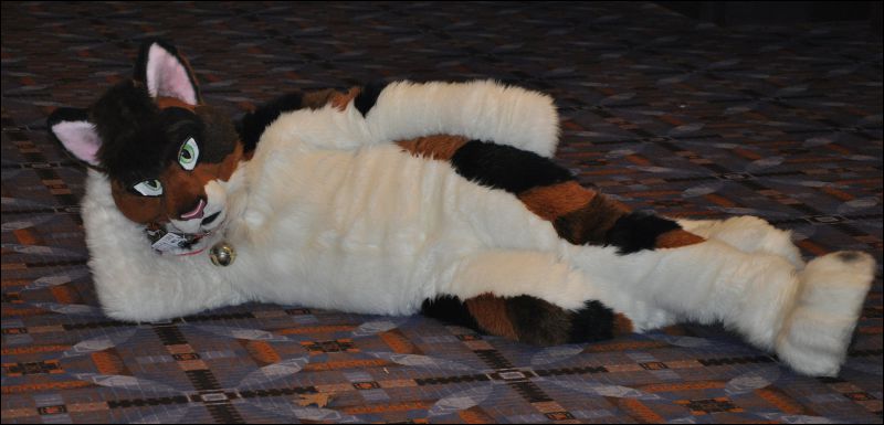 [SeanC_MFF2013_144.jpg]