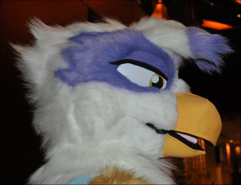 [SeanC_MFF2013_174.jpg]