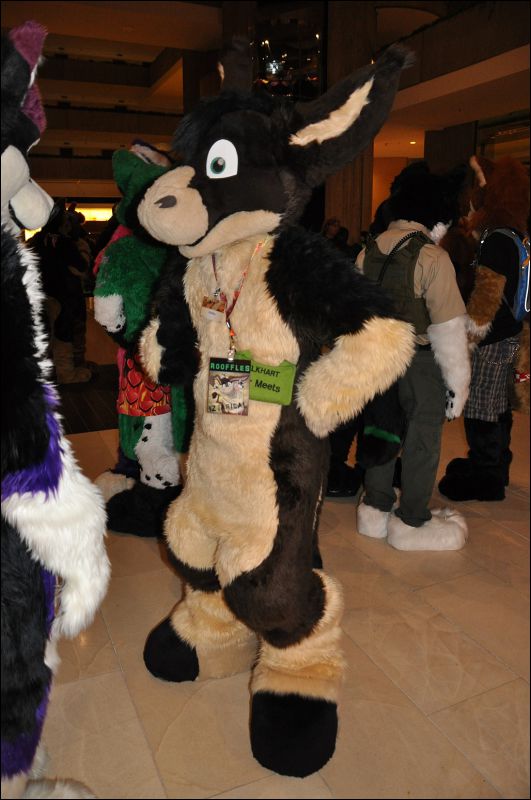 [SeanC_MFF2013_339.jpg]