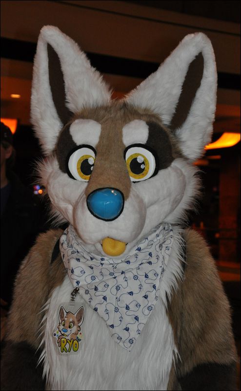 [SeanC_MFF2013_350.jpg]