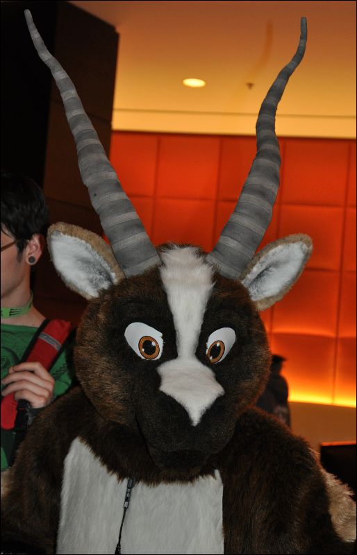 [SeanC_MFF2013_418.jpg]