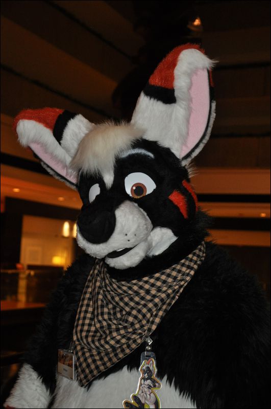 [SeanC_MFF2013_429.jpg]