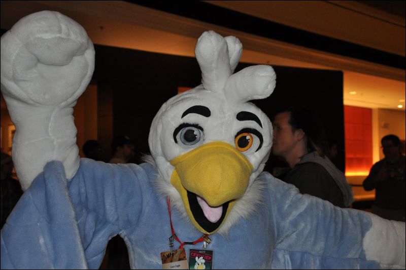 [SeanC_MFF2013_451.jpg]