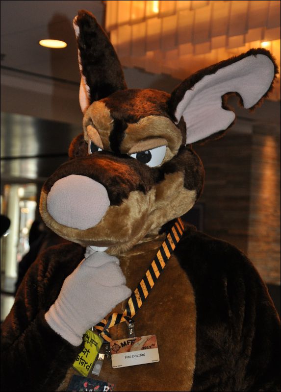 [SeanC_MFF2013_559.jpg]