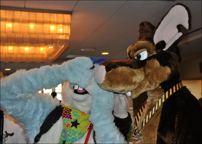 [SeanC_MFF2013_562.jpg]