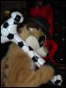 [Vector RBW2008 FursuitGames 4]