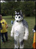 [Dobie WPAFW2008 184]