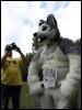 [Dobie WPAFW2008 186]