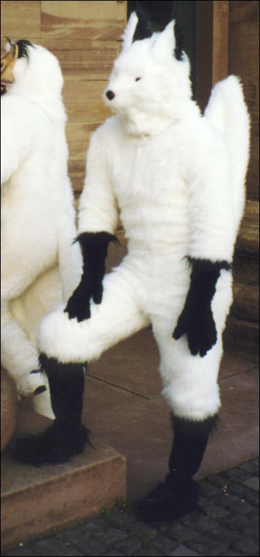 [Fursuit_eissuit01.jpg]